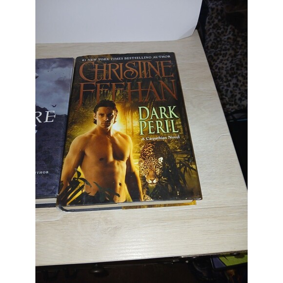 Lot of 4 Hardcover Books Dark Peril, Rapture, Blackthorn Key & Cinderella Murder - Picture 11 of 15